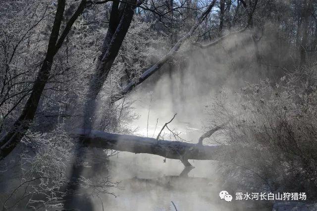 超级连续跳